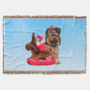 Suche nach yorkshire terrier decken Hund