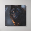 Suche nach schwarzer wolf leinwandbilder Wildtier