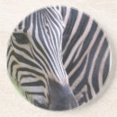 Suche nach zebra untersetzer Zoo