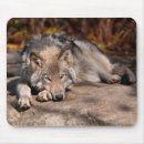 Suche nach wölfe mousepads Winter