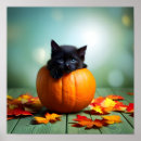 Suche nach schwarzes kätzchen poster Kürbis