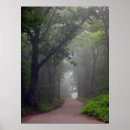 Suche nach hartholz poster Wald
