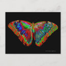 Suche nach hübscher schmetterling postkarten Mädchenhaft