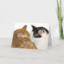 Suche nach schnallen karten Katze