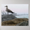 Suche nach foggy poster Strand