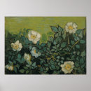 Suche nach wilde rose poster Blume