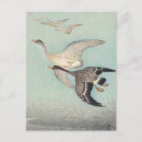 Suche nach flight postkarten Vogelvogel
