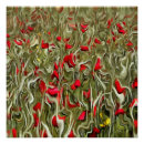 Suche nach surrealistische poster Natur