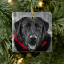 Suche nach labrador ornamente Cute