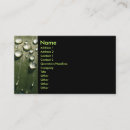 Suche nach regentropfen visitenkarten Grün