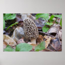 Suche nach einzig poster Grau