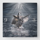 Suche nach gänse wanduhren Tierwelt