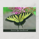 Suche nach beautiful postkarten Natur