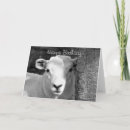 Suche nach weiße schafe karten Jede person