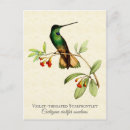 Suche nach tropische kolibris postkarten Natur