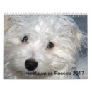 Suche nach rettung kalender Welpen