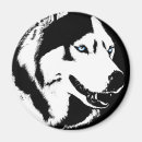 Suche nach zäh magnete Sibirischer husky
