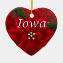 Suche nach rote poinsettia Jede person