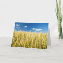 Suche nach kein weizen karten Fotografie