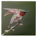 Suche nach hummingbird fliesen Flügel