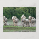 Suche nach laufen postkarten Ranch