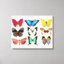 Suche nach rote schmetterlinge leinwandbilder Blau