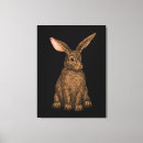 Suche nach hare leinwandbilder Wald