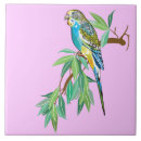 Suche nach budgerigar Vögel