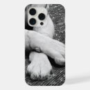 Suche nach paws iphone hüllen Tier