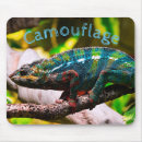 Suche nach chamäleon mousepads Reptil