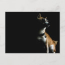 Suche nach inu postkarten Shiba