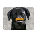 Suche nach zum knochen magnete Tiere