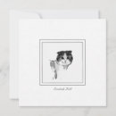 Suche nach schottisch kleine grußkarten Katzenkarte