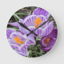 Suche nach krokus wanduhren Blume