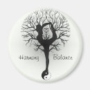 Suche nach harmonie magnete Yang