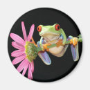 Suche nach baumfrösche magnete Frosch