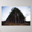 Suche nach plantagen poster Baum