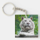 Suche nach white tiger schlüsselanhänger Natur