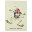 Suche nach anatomie klemmbrett Anatomie des frosches