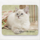 Suche nach ragdoll katze mousepads Kätzchen