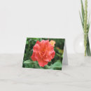 Suche nach helle rote rose karten Blätter