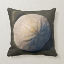 Suche nach sand dollar kissen Meer
