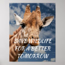 Suche nach kleine giraffe poster Wildtiere