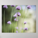 Suche nach freier tag poster Wachstum