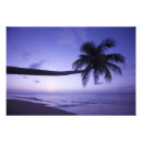 Suche nach einsamer baum poster Strand