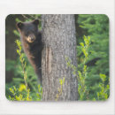 Suche nach bärenjunge mousepads Wilde tiere