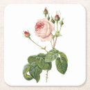 Suche nach redouté Rose