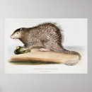 Suche nach vintages schwein poster Retro