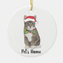 Suche nach graue katzen ornamente Für alle