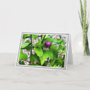 Suche nach naht postkarten Für sie